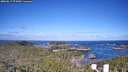 ./images/calvert/lookout/20260617/lookout20260617_074501M.jpg