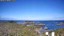 ./images/calvert/lookout/20260617/lookout20260617_080001M.jpg