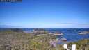 ./images/calvert/lookout/20260617/lookout20260617_080502M.jpg