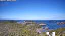 ./images/calvert/lookout/20260617/lookout20260617_081001M.jpg