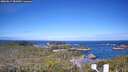 ./images/calvert/lookout/20260617/lookout20260617_082002M.jpg