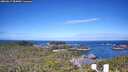 ./images/calvert/lookout/20260617/lookout20260617_084002M.jpg
