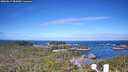 ./images/calvert/lookout/20260617/lookout20260617_084502M.jpg