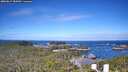 ./images/calvert/lookout/20260617/lookout20260617_085001M.jpg