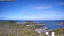 ./images/calvert/lookout/20260617/lookout20260617_091001M.jpg