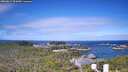 ./images/calvert/lookout/20260617/lookout20260617_093001M.jpg