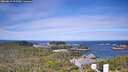 ./images/calvert/lookout/20260617/lookout20260617_095501M.jpg