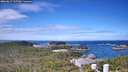 ./images/calvert/lookout/20260617/lookout20260617_105501M.jpg