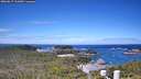 ./images/calvert/lookout/20260617/lookout20260617_111002M.jpg
