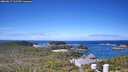 ./images/calvert/lookout/20260617/lookout20260617_111501M.jpg