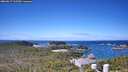 ./images/calvert/lookout/20260617/lookout20260617_112502M.jpg