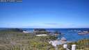 ./images/calvert/lookout/20260617/lookout20260617_113001M.jpg