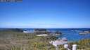 ./images/calvert/lookout/20260617/lookout20260617_114001M.jpg