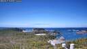./images/calvert/lookout/20260617/lookout20260617_114501M.jpg