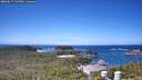 ./images/calvert/lookout/20260617/lookout20260617_115501M.jpg