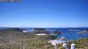 ./images/calvert/lookout/20260617/lookout20260617_124001M.jpg