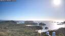 ./images/calvert/lookout/20260617/lookout20260617_190501M.jpg