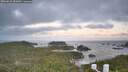 ./images/calvert/lookout/20260618/lookout20260618_052001M.jpg