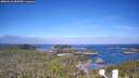 ./images/calvert/lookout/20260618/lookout20260618_082001M.jpg