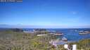 ./images/calvert/lookout/20260618/lookout20260618_090501M.jpg