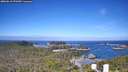 ./images/calvert/lookout/20260618/lookout20260618_091001M.jpg