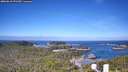 ./images/calvert/lookout/20260618/lookout20260618_091501M.jpg