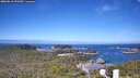 ./images/calvert/lookout/20260618/lookout20260618_093501M.jpg