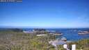 ./images/calvert/lookout/20260618/lookout20260618_094501M.jpg
