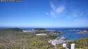 ./images/calvert/lookout/20260618/lookout20260618_105501M.jpg