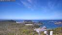./images/calvert/lookout/20260618/lookout20260618_110501M.jpg