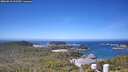 ./images/calvert/lookout/20260618/lookout20260618_112501M.jpg