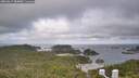 ./images/calvert/lookout/20260619/lookout20260619_084002M.jpg