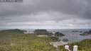 ./images/calvert/lookout/20260619/lookout20260619_091001M.jpg