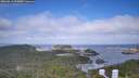 ./images/calvert/lookout/20260619/lookout20260619_095002M.jpg