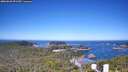 ./images/calvert/lookout/20260620/lookout20260620_091502M.jpg