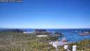 ./images/calvert/lookout/20260620/lookout20260620_112501M.jpg