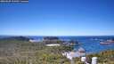 ./images/calvert/lookout/20260620/lookout20260620_113501M.jpg
