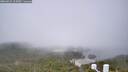 ./images/calvert/lookout/20260621/lookout20260621_105001M.jpg
