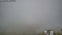 ./images/calvert/lookout/20260622/lookout20260622_081001M.jpg