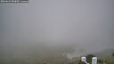 ./images/calvert/lookout/20260622/lookout20260622_082001M.jpg