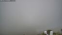 ./images/calvert/lookout/20260622/lookout20260622_083001M.jpg