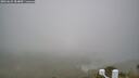 ./images/calvert/lookout/20260622/lookout20260622_084001M.jpg