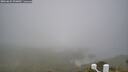 ./images/calvert/lookout/20260622/lookout20260622_090002M.jpg