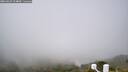 ./images/calvert/lookout/20260622/lookout20260622_104001M.jpg