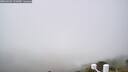 ./images/calvert/lookout/20260622/lookout20260622_131002M.jpg