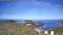 ./images/calvert/lookout/20260624/lookout20260624_083501M.jpg