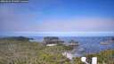 ./images/calvert/lookout/20260624/lookout20260624_091001M.jpg