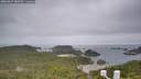 ./images/calvert/lookout/20260629/lookout20260629_080501M.jpg