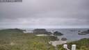 ./images/calvert/lookout/20260629/lookout20260629_093001M.jpg