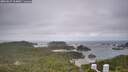./images/calvert/lookout/20260629/lookout20260629_104001M.jpg